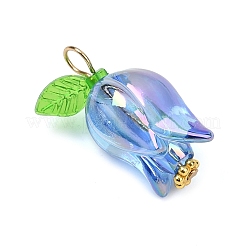 Acrylic Pendants&nbsp;PALLOY-JF03534-01