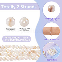 2 Strands AB Color Natural Freshwater Shell Beads Strands&nbsp;BSHE-TA0001-40