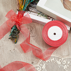 1 Rolls Sheer Organza Ribbon&nbsp;SRIB-CY0001-22B-05
