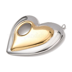 304 Stainless Steel Big Pendants&nbsp;STAS-Z192-06GP