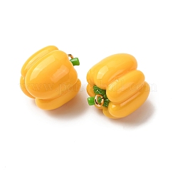 Imitation Vegetable Resin Pendants&nbsp;RESI-K033-03A-01
