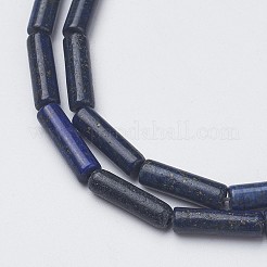Natural Lapis Lazuli Bead Strands&nbsp;G-G968-F01