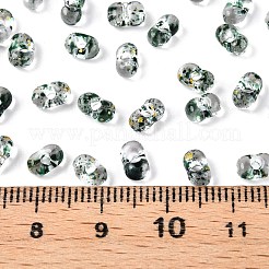 Spray Painted with Glitter Powder Glass Seed Beads&nbsp;SEED-T007-09C