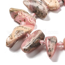 Natural Rhodonite Beads Strands&nbsp;G-C179-E01-01