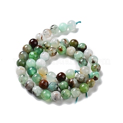 Natural Chrysoprase Beads Strands&nbsp;G-G057-A01-03