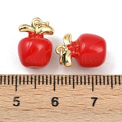Brass Enamel Pendants&nbsp;KK-L251-26G