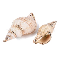 Electroplate Natural Sea Shell Big Pendants&nbsp;SSHEL-Q100-24KCG