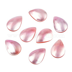 Natural Turbo Cornulus/Top Shells Cabochons&nbsp;SSHEL-N003-157B