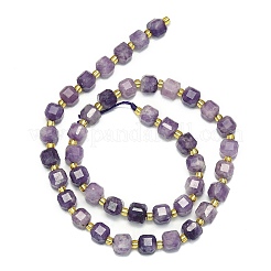 Natural Lepidolite/Purple Mica Stone Beads Strand&nbsp;G-I376-D34-01