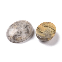 Natural Crazy Agate Cabochons&nbsp;G-P468-16B-02