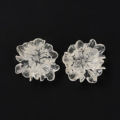 Transparent Resin Cabochons&nbsp;X-RESI-G027-01A