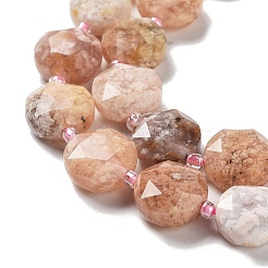 Natural Cherry Blossom Agate Beads Strands&nbsp;G-NH0004-024