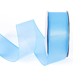 Polyester Organza Ribbon&nbsp;TAC0006-01B