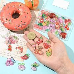 30Pcs 15 Styles Resin & Acrylic & Plastic Cabochons&nbsp;KY-SZ0001-61