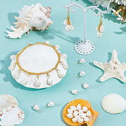 40Pcs Natural Shell Pendants&nbsp;PALLOY-NB00015