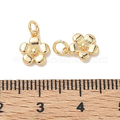 SHEGRACE Brass Pendants&nbsp;XGRQ3D665-472G