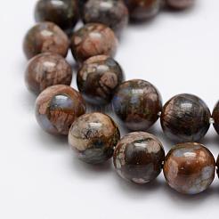 Natural Glaucophane Beads Strands&nbsp;G-K209-04A-10mm