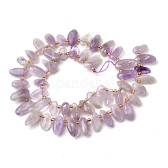Natural Amethyst Beads Strands&nbsp;G-Z091-A02