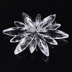 Transparent Acrylic Pendants&nbsp;TACR-T028-10A