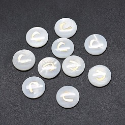 Shell Cabochons&nbsp;SSHEL-E568-B12