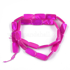 Spray Painted Freshwater Shell Beads&nbsp;SHEL-T010-04A