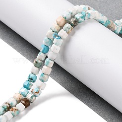 Natural Howlite Beads Strands&nbsp;G-G001-A03-08