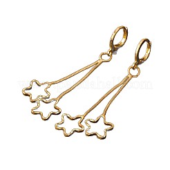 Alloy Star Tassel Hoop Earrings for Women&nbsp;WGF3701-01