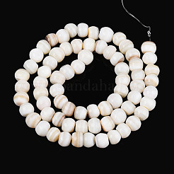 Natural Freshwater Shell Beads Strands&nbsp;SHEL-N038-04
