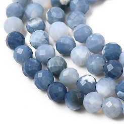 Natural Blue Opal Beads Strands&nbsp;G-P603-C-4mm-04