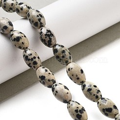 Natural Dalmatian Jasper Beads Strands&nbsp;G-B106-B20-01