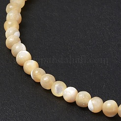 Natural Trochid Shell/Trochus Shell Beads Strands&nbsp;SSHEL-S266-023B-07