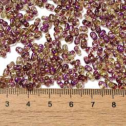 Spray Painted Glass Seed Beads&nbsp;SEED-F005-02A-02