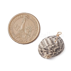 Natural Shell Pendants&nbsp;PALLOY-JF02953