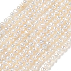 Natural Cultured Freshwater Pearl Beads Strands&nbsp;PA-CBAC463-42