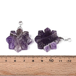 Natural Amethyst Pendants&nbsp;G-T144-12D