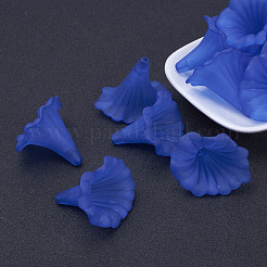 Transparent Acrylic Beads&nbsp;X-BSF796-C05