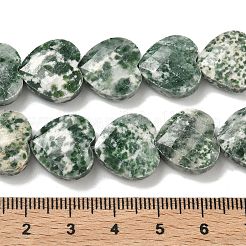 Natural Green Spot Jasper Beads Strands&nbsp;G-A309-A20-01