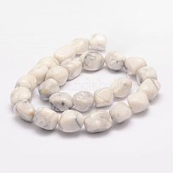 Natural Howlite Bead Strands&nbsp;G-K153-D15