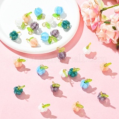 25Pcs 5 Colors Handmade Lampwork Pendants&nbsp;PALLOY-YW00207