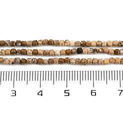 Natural Picture Jasper Beads Strands&nbsp;G-P457-B01-52
