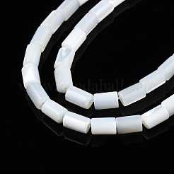 Natural Freshwater Shell Beads Strands&nbsp;SHEL-N003-26-A01