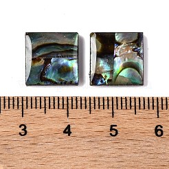 Natural Paua Shell Epoxy Resin Cabochons&nbsp;SSHEL-S279-01H