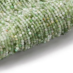 Natural Chrysoprase Beads Strands&nbsp;LS-G-RM2025-A39-3mm