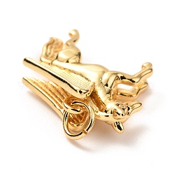 Brass Charms&nbsp;KK-G399-28
