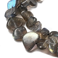 Natural Labradorite Beads Strands&nbsp;G-A279-A01-01
