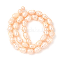Natural Cultured Freshwater Pearl Beads Strands&nbsp;PEAR-F020-05A