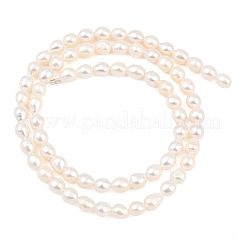 Natural Cultured Freshwater Pearl Beads Strands&nbsp;PEAR-D003-01A