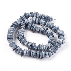 Natural Shell Beads Strands&nbsp;X-BSHE-I008-01