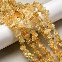 Gemstone Beads Strands&nbsp;X-F044