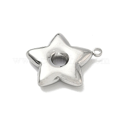 304 Stainless Steel Pendants&nbsp;STAS-L301-13P